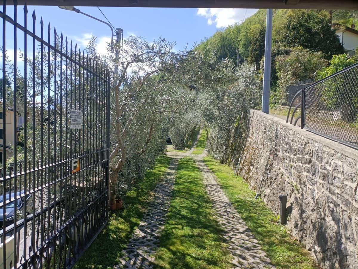 Casa Delle Olive 1 Apartamento Oliveto Lario Exterior foto